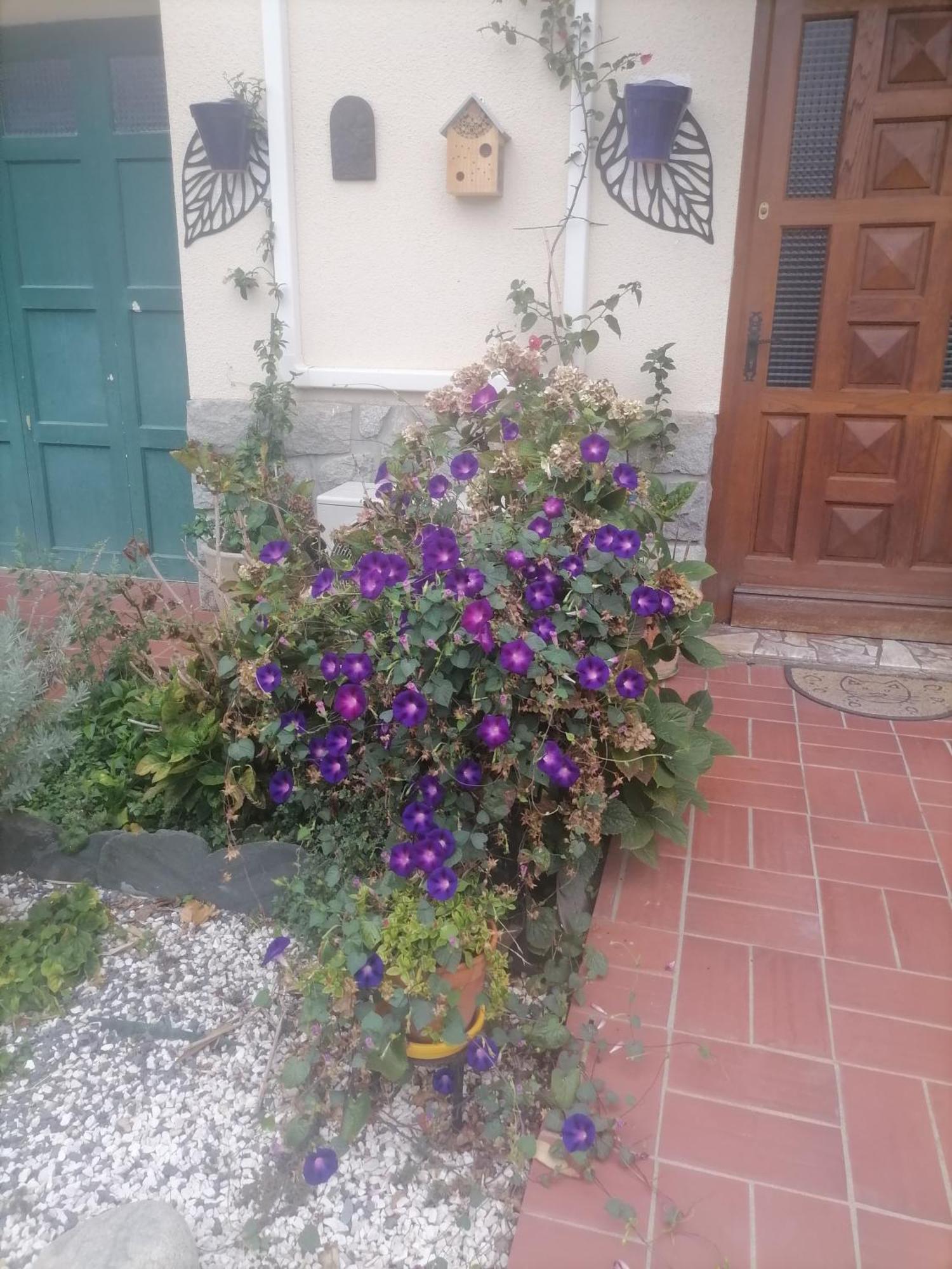 Maison Du Soleil Prades  Exterior photo
